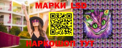 сатива Кингисепп
