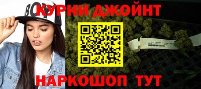 сатива Кингисепп