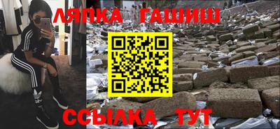 сатива Кингисепп