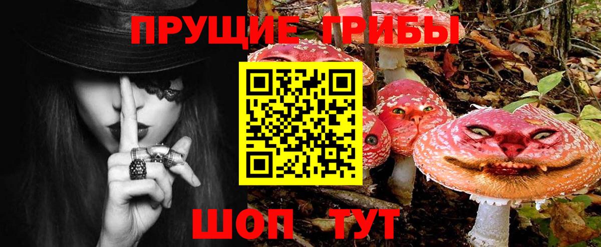 Галлюциногенные грибы мухоморы Котовск