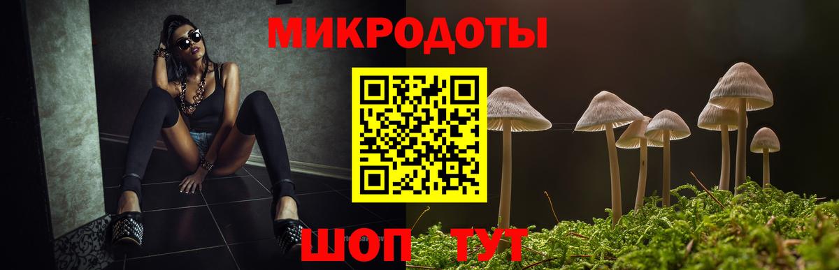 Галлюциногенные грибы Cubensis  Вход с VPN  Котовск 